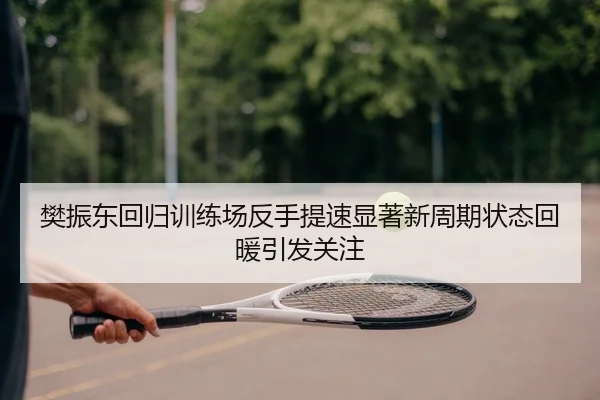 樊振东回归训练场反手提速显著新周期状态回暖引发关注